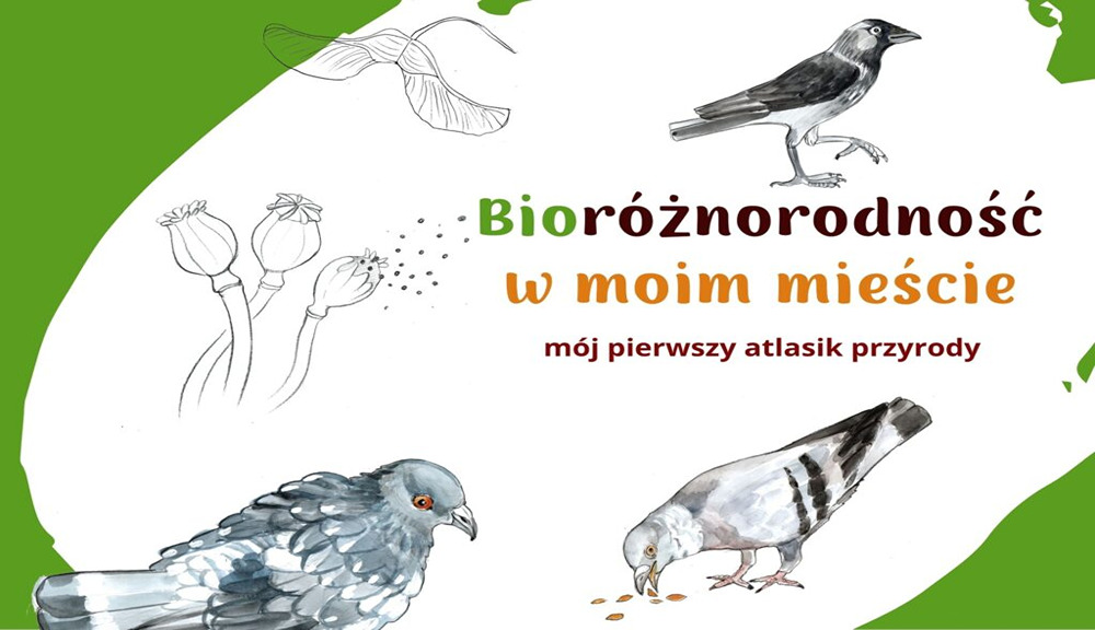 Ilustracja przedstawia okładkę broszurki. Tło okładki jest białe i zielone, ilustracje przedstawiają dwa gołębie miejskie, kawkkę, makówki i nasiona klony zwyczjanego.