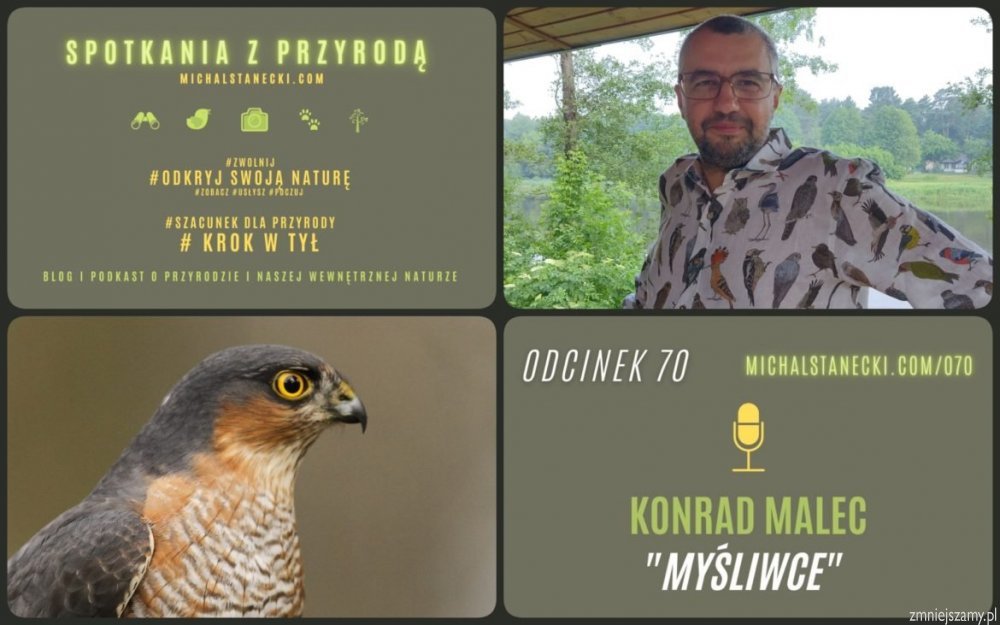 Obrazek podzielony jest na cztery części. W prawym górnym rogu znajdują się informacje o podcaście, zaś w lewym dolnym o samym odcinku. W lewym górnym narożniku umieszczono zdjęcie Konrada Malca, w prawym dolnym samca krogulca.